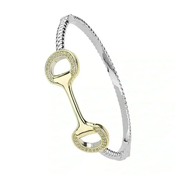 1️⃣6️⃣Equestrian Two Tone Gold & Pave Horse Bit - Picture 1 of 5